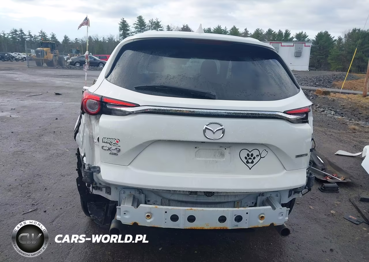2020 Mazda Cx-9 Sport VIN:JM3TCBBY5L0408623 - 17