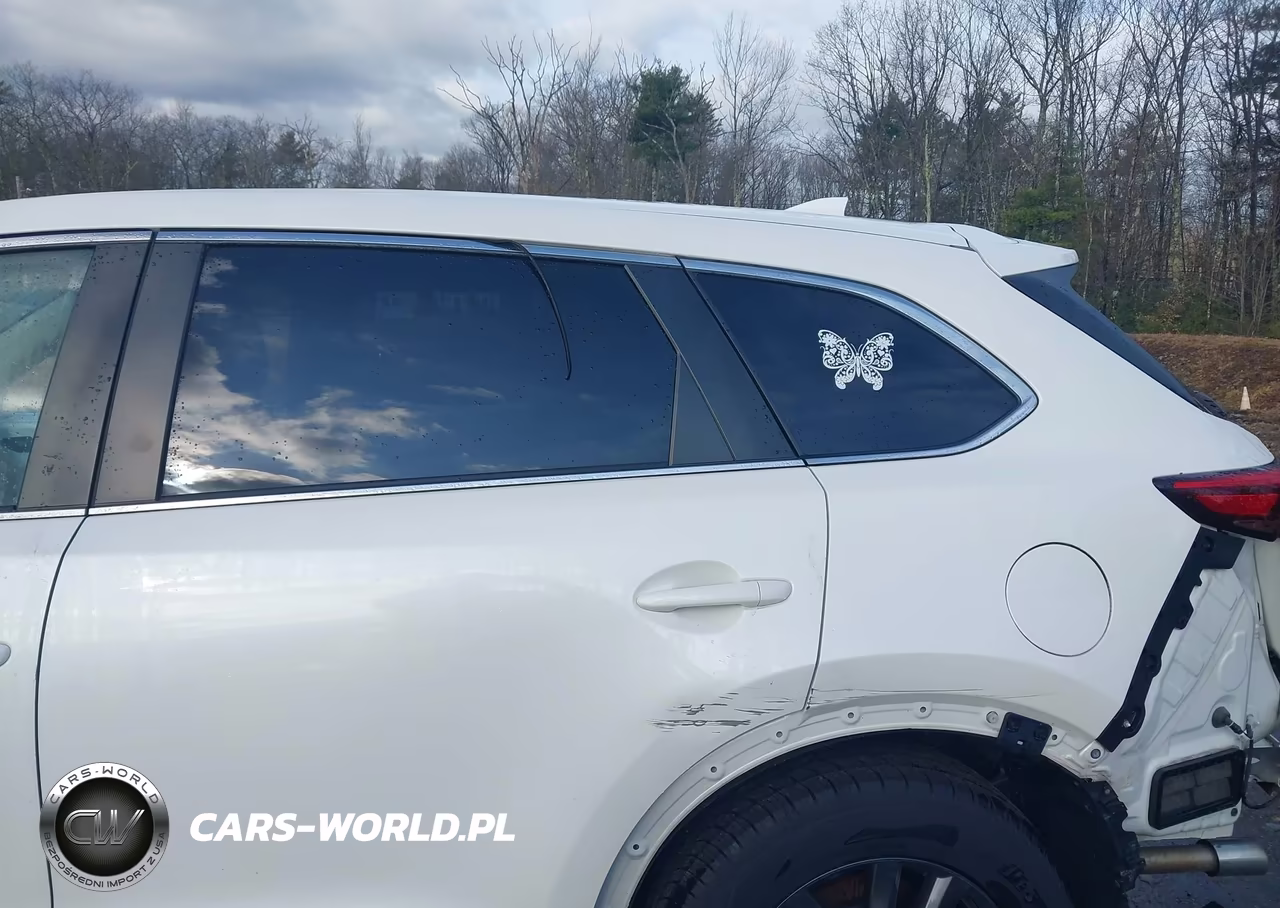 2020 Mazda Cx-9 Sport VIN:JM3TCBBY5L0408623 - 18