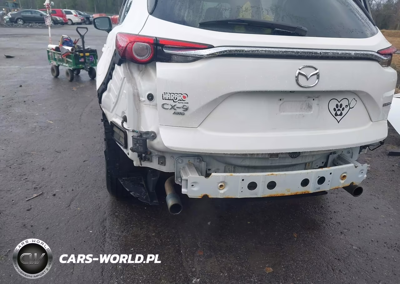 2020 Mazda Cx-9 Sport VIN:JM3TCBBY5L0408623 - 6