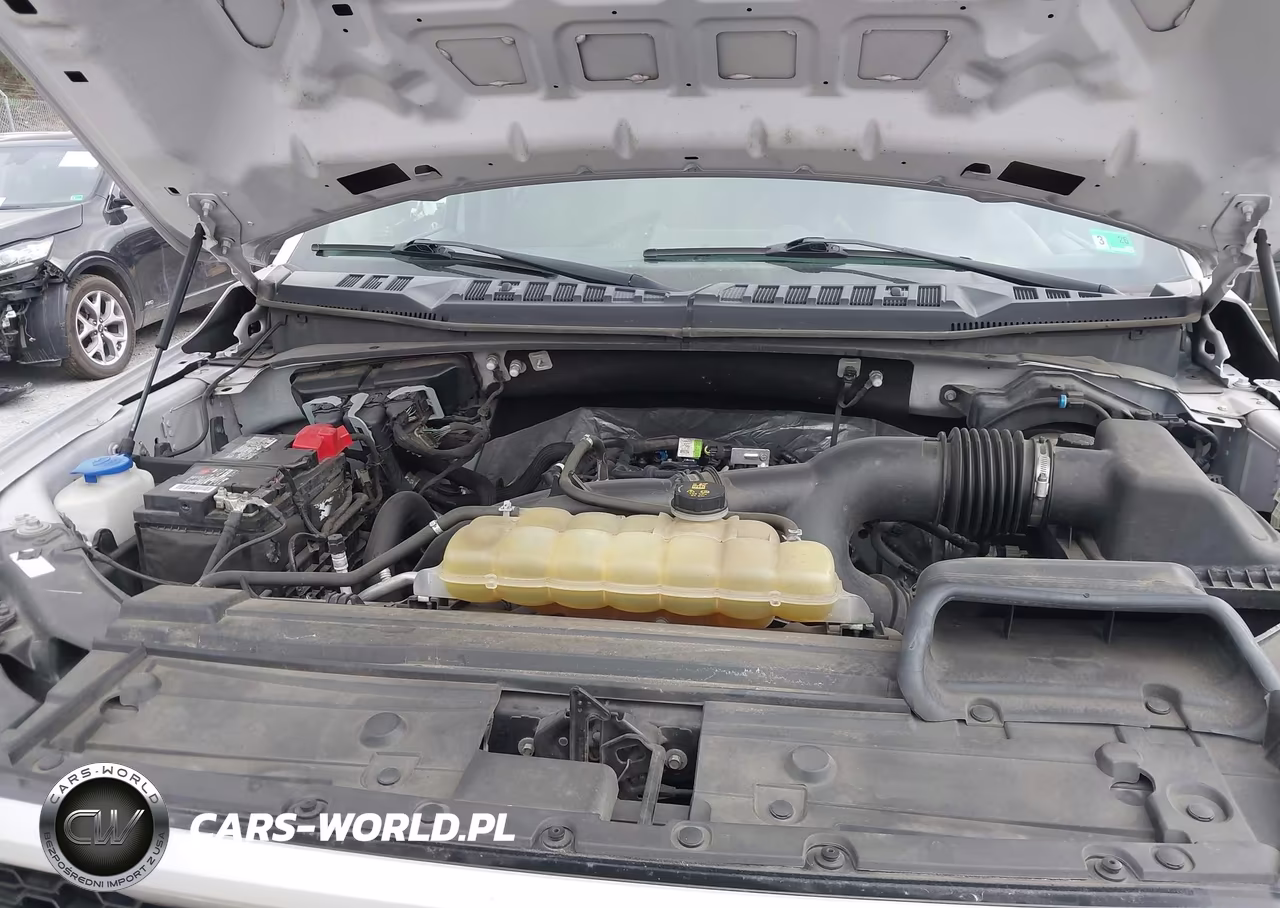 2019 Ford F-150 Xl VIN:1FTEW1EP1KFB77978 - 10