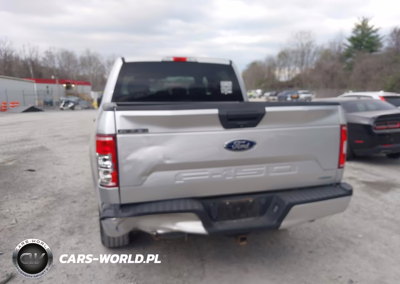 2019 Ford F-150 Xl VIN:1FTEW1EP1KFB77978 - 16