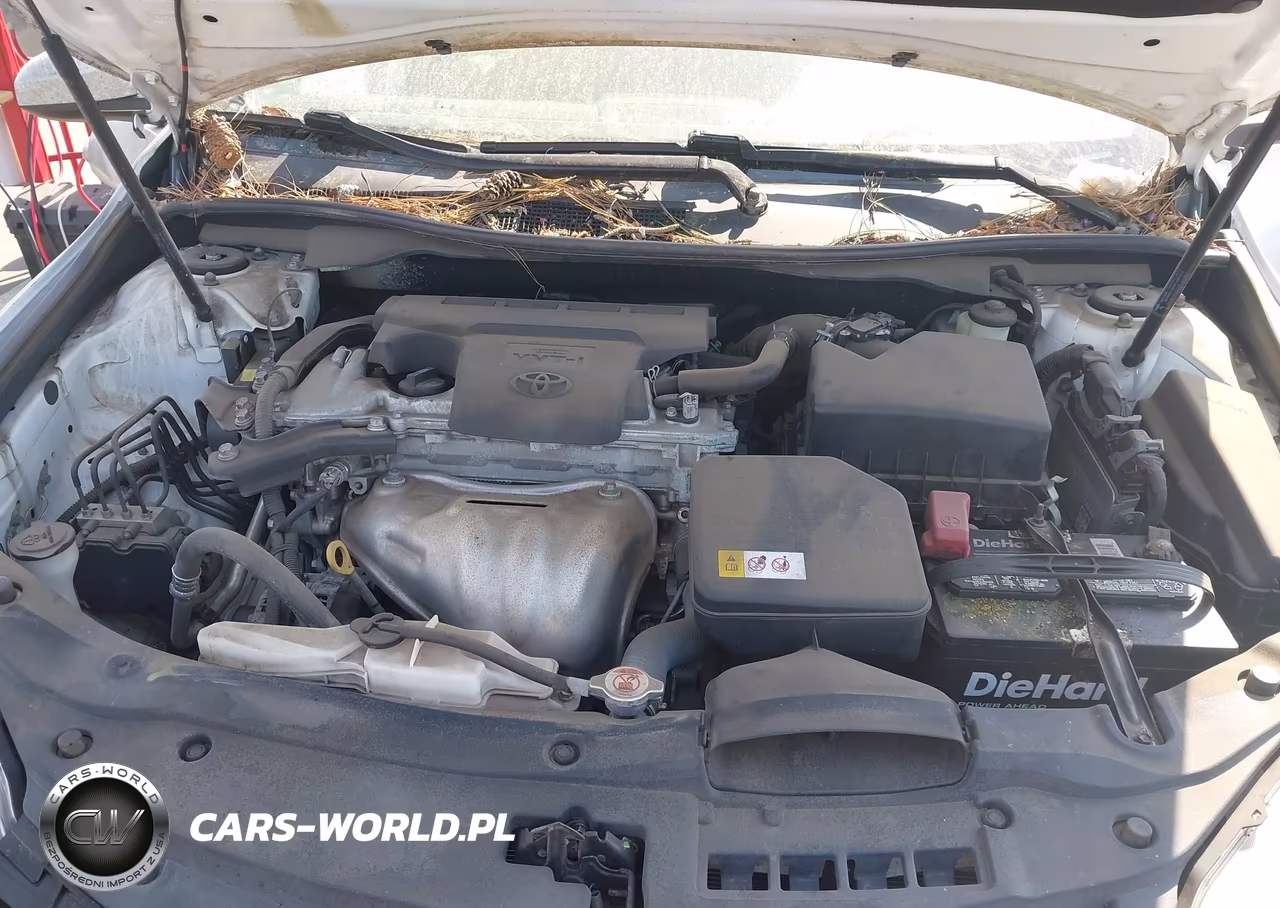 2017 Toyota Camry Xse VIN:4T1BF1FK0HU287832 - 10