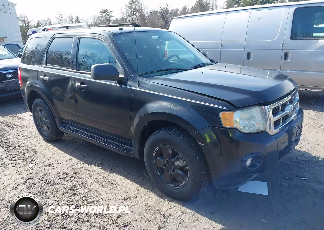 2010 Ford Escape Xlt