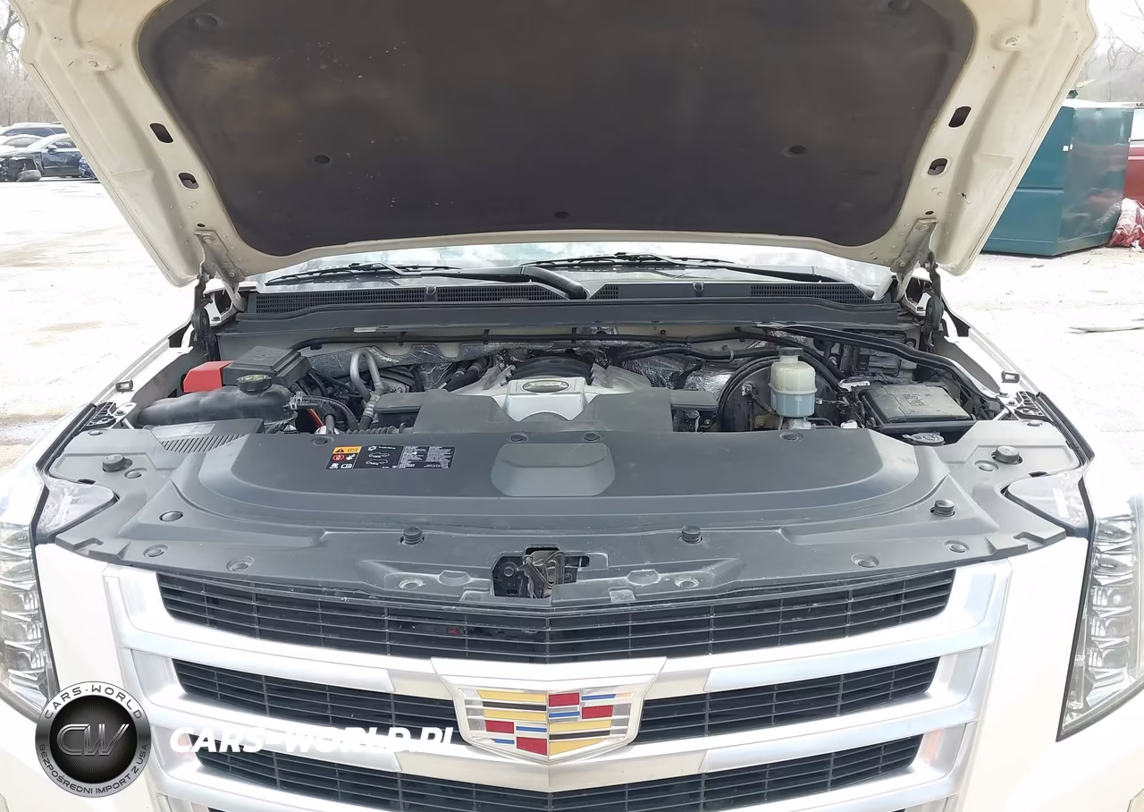 2015 Cadillac Escalade Esv Luxury VIN:1GYS4SKJ9FR555624 - 10