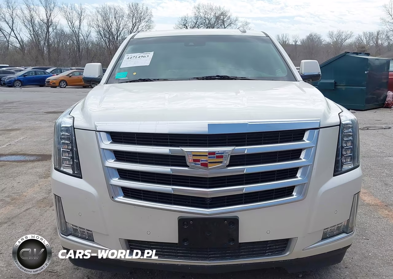 2015 Cadillac Escalade Esv Luxury VIN:1GYS4SKJ9FR555624 - 13