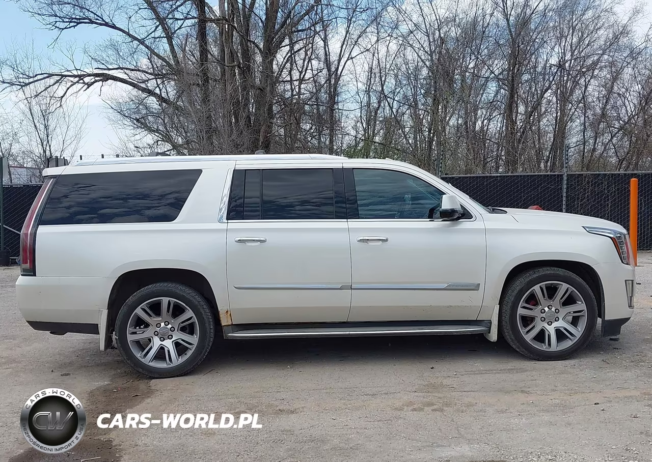 2015 Cadillac Escalade Esv Luxury VIN:1GYS4SKJ9FR555624 - 14