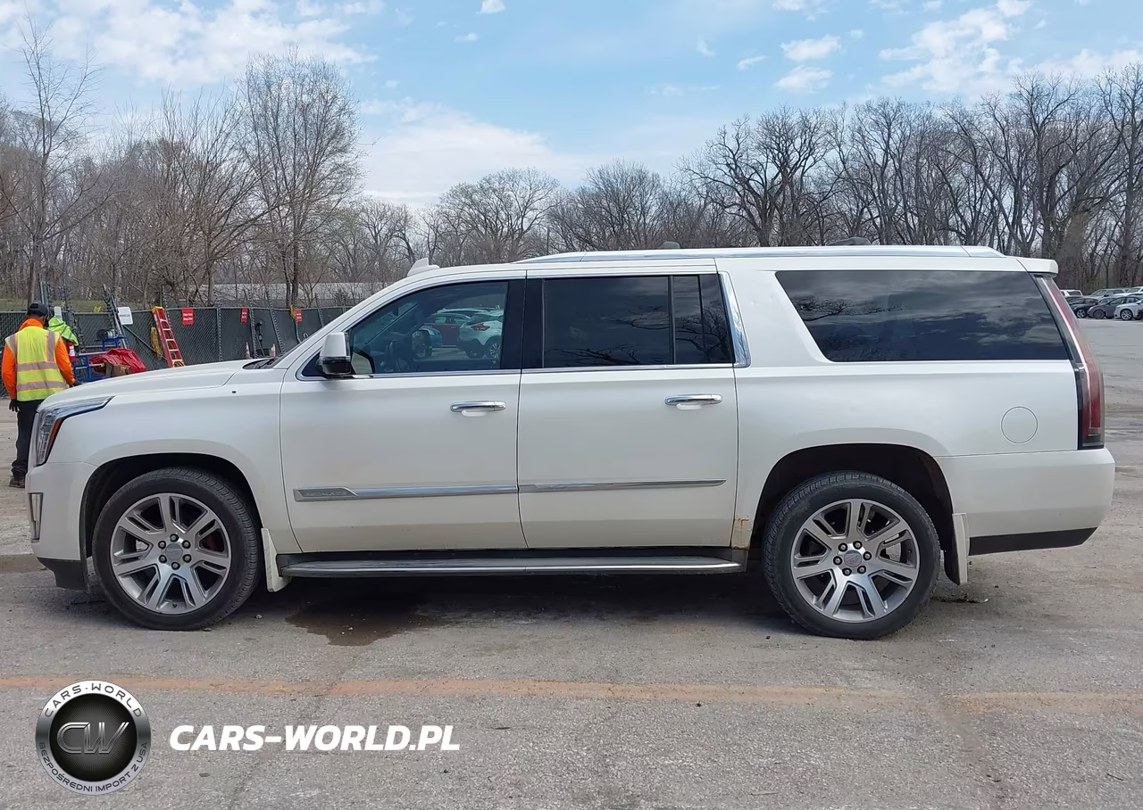 2015 Cadillac Escalade Esv Luxury VIN:1GYS4SKJ9FR555624 - 15