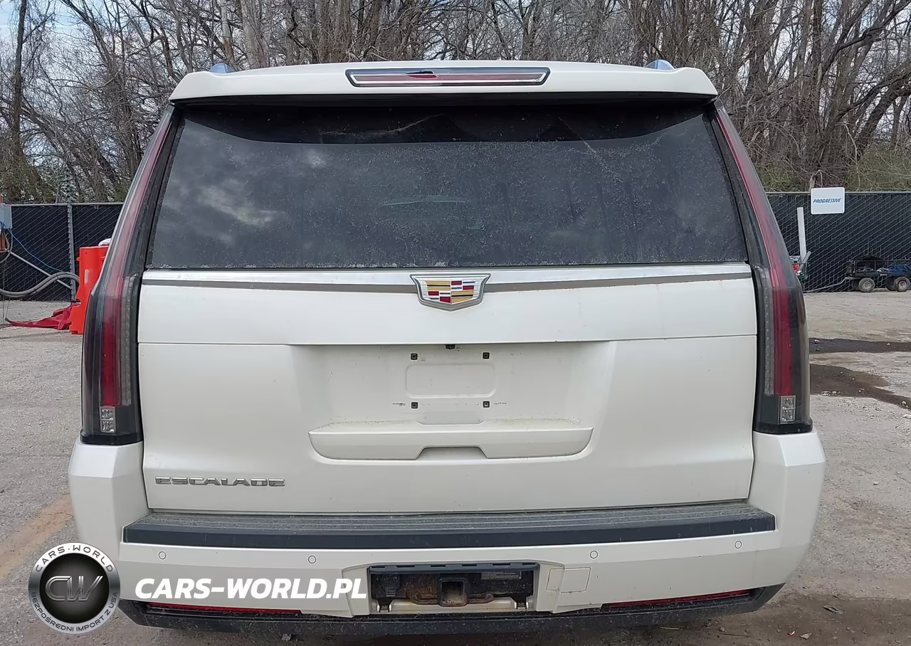 2015 Cadillac Escalade Esv Luxury VIN:1GYS4SKJ9FR555624 - 17