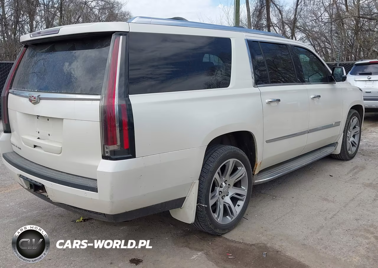 2015 Cadillac Escalade Esv Luxury VIN:1GYS4SKJ9FR555624 - 4