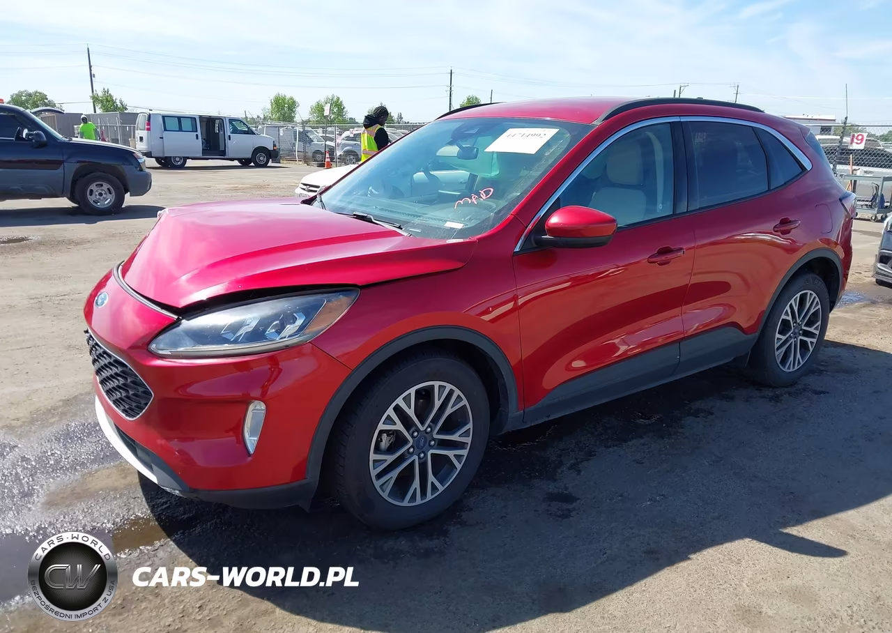 2020 Ford Escape Sel VIN:1FMCU0H62LUB08431 - 2