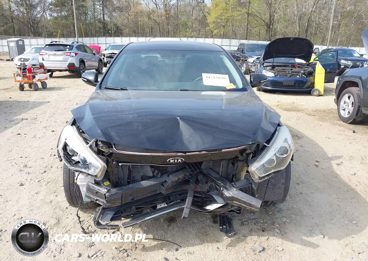 2015 Kia Cadenza Premium VIN:KNALN4D76F5190960 - 13