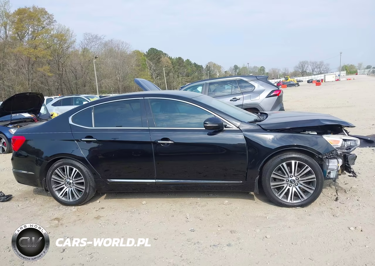 2015 Kia Cadenza Premium VIN:KNALN4D76F5190960 - 14