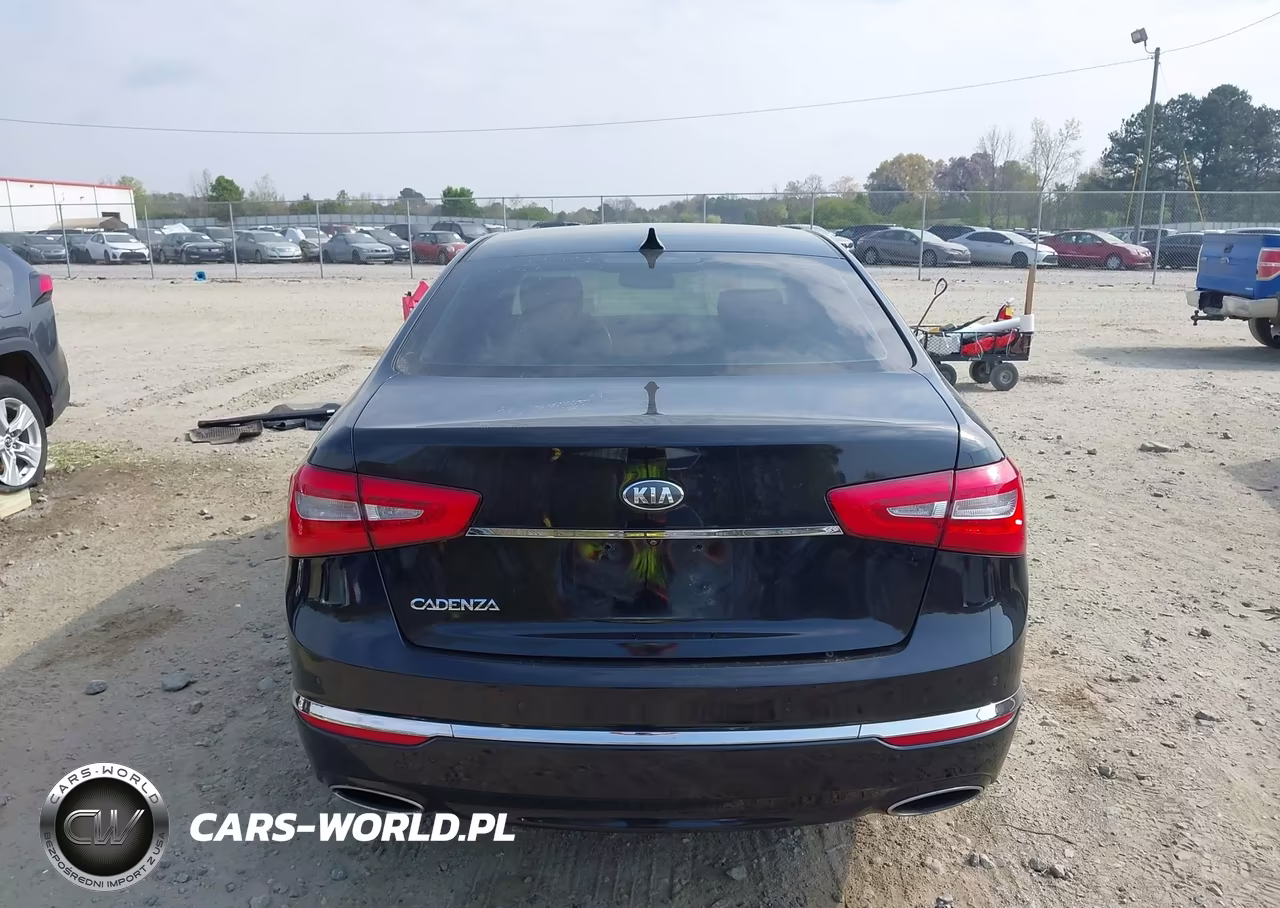 2015 Kia Cadenza Premium VIN:KNALN4D76F5190960 - 17