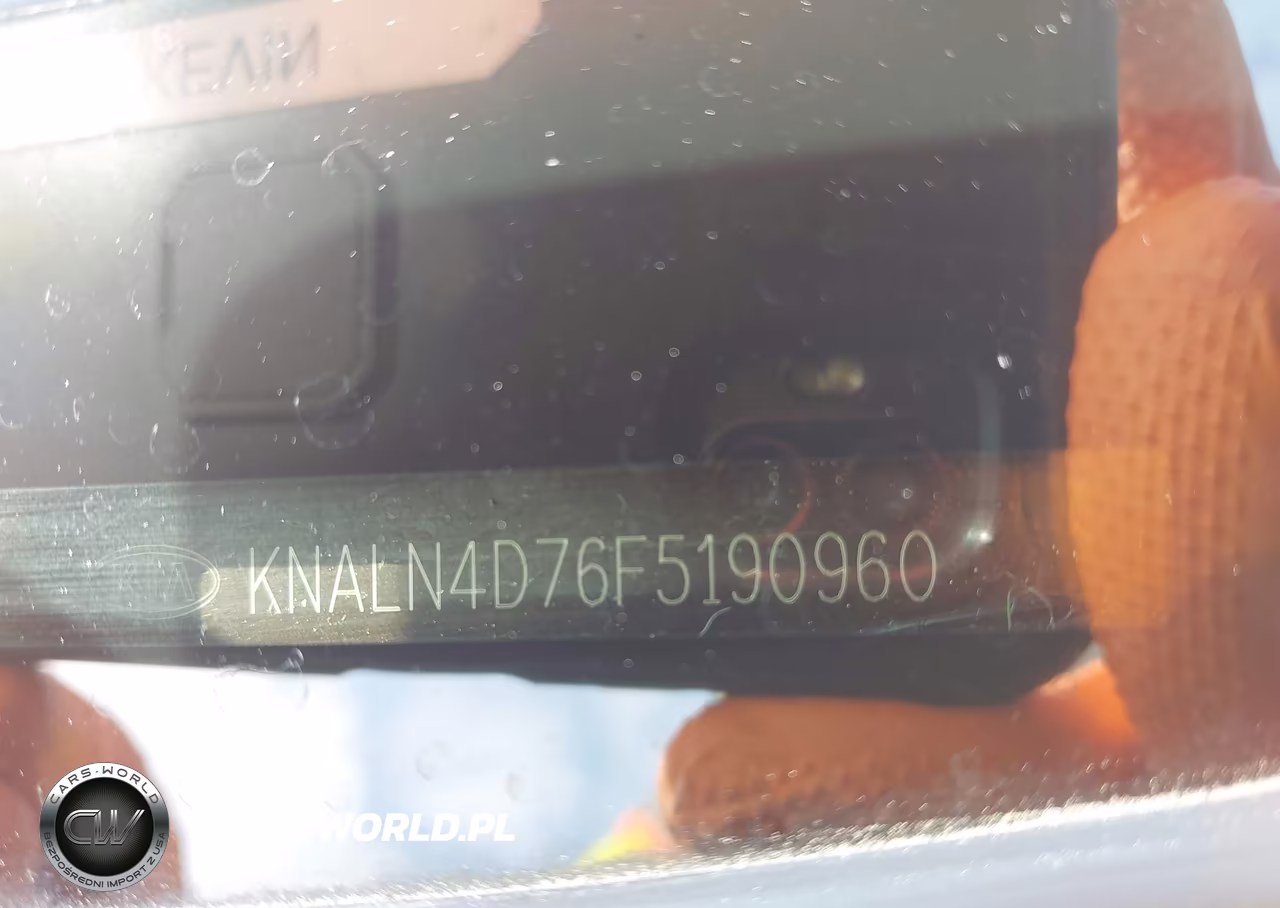 2015 Kia Cadenza Premium VIN:KNALN4D76F5190960 - 18