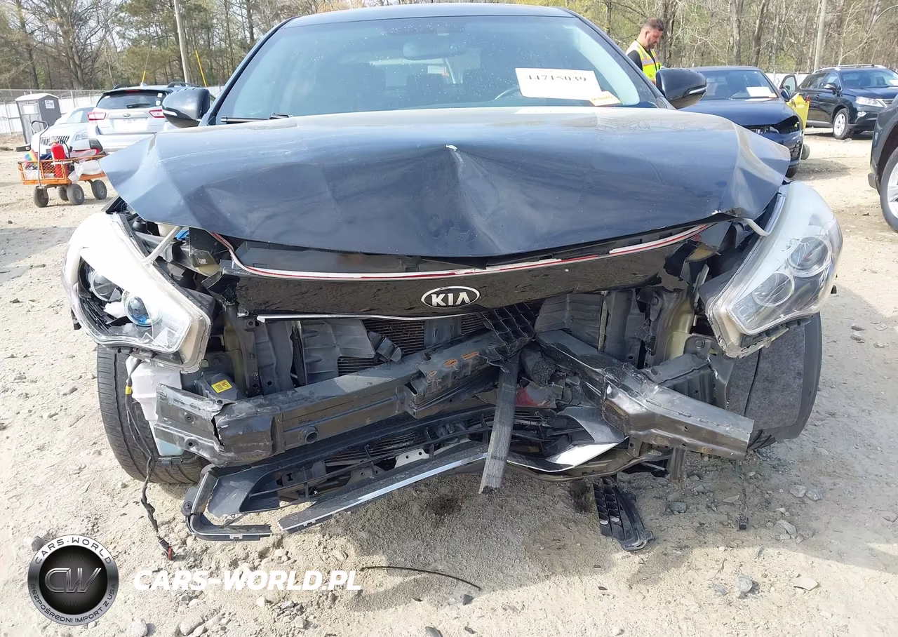 2015 Kia Cadenza Premium VIN:KNALN4D76F5190960 - 6
