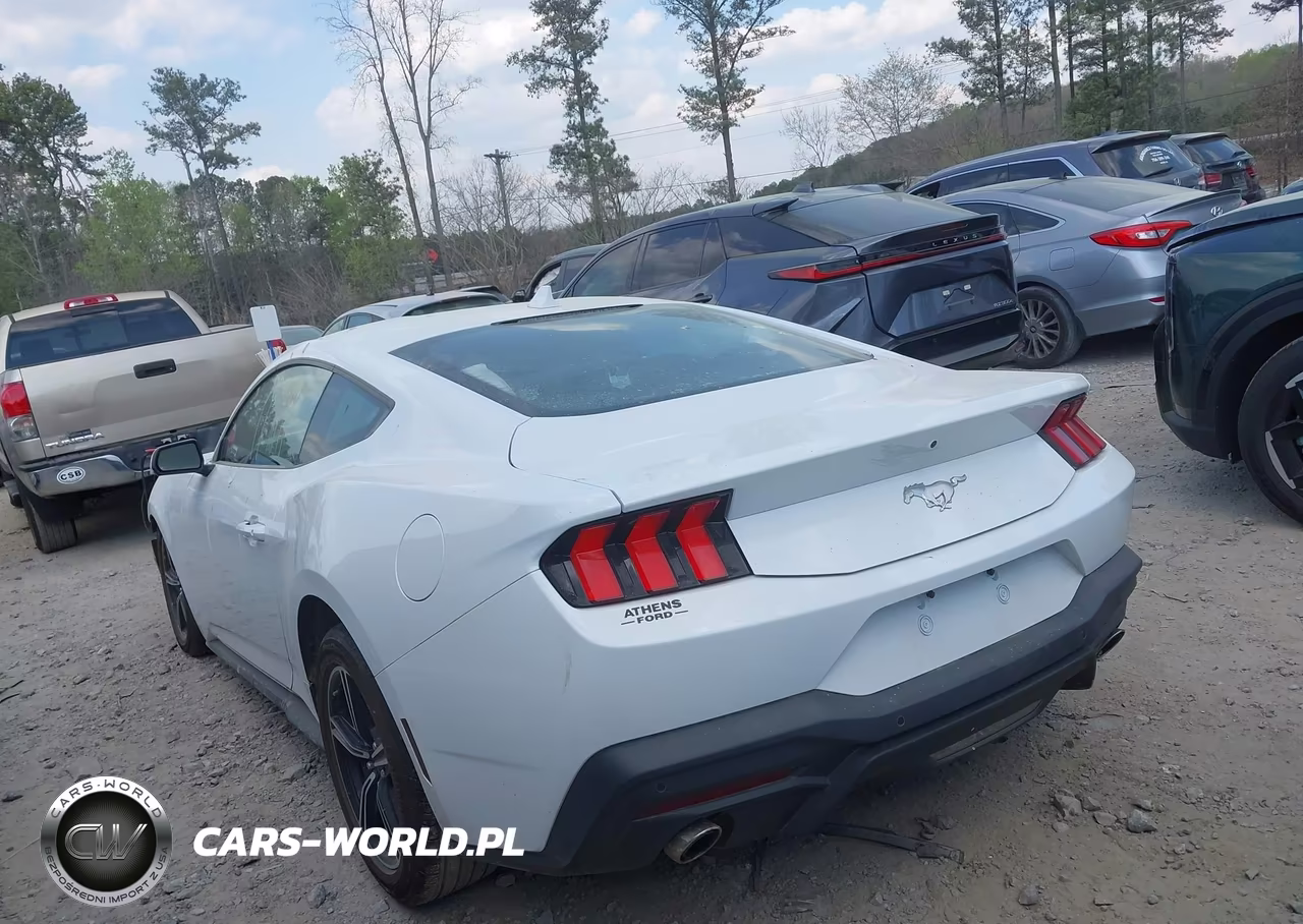 2025 Ford Mustang Ecoboost Fastback VIN:1FA6P8THXS5130093 - 3