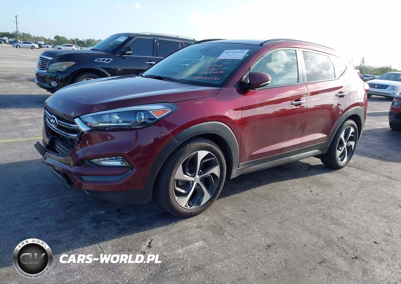 2016 Hyundai Tucson Limited VIN:KM8J33A29GU138566 - 2