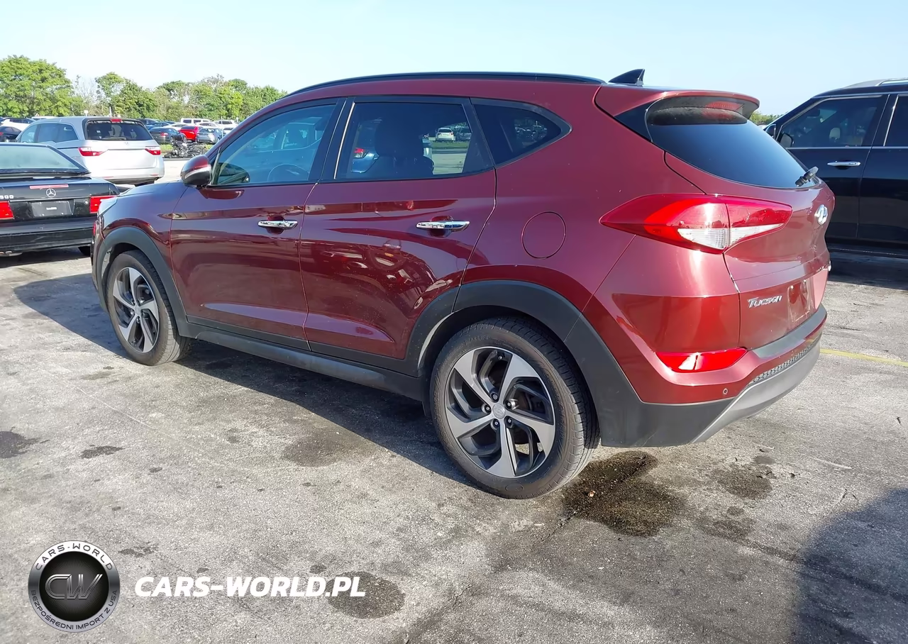 2016 Hyundai Tucson Limited VIN:KM8J33A29GU138566 - 3