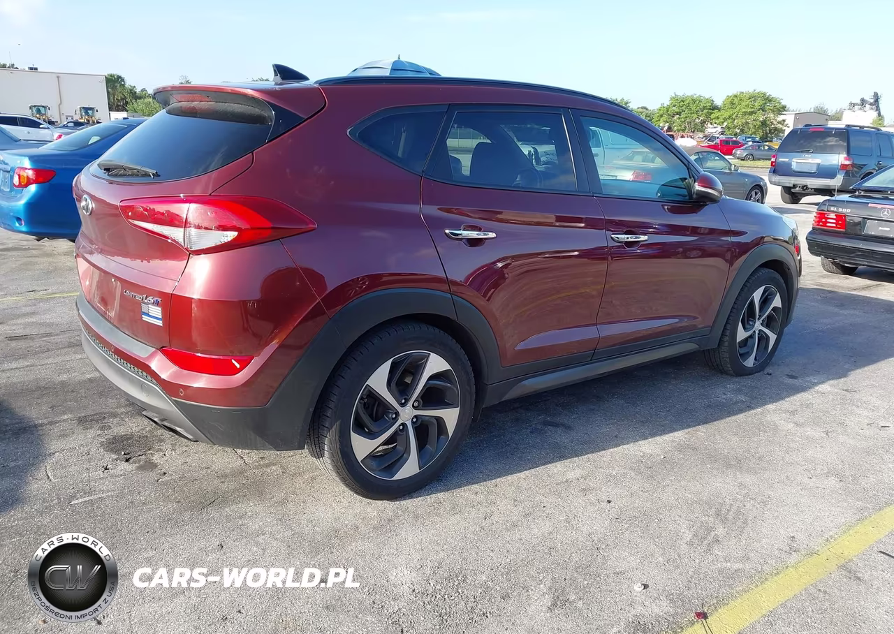 2016 Hyundai Tucson Limited VIN:KM8J33A29GU138566 - 4