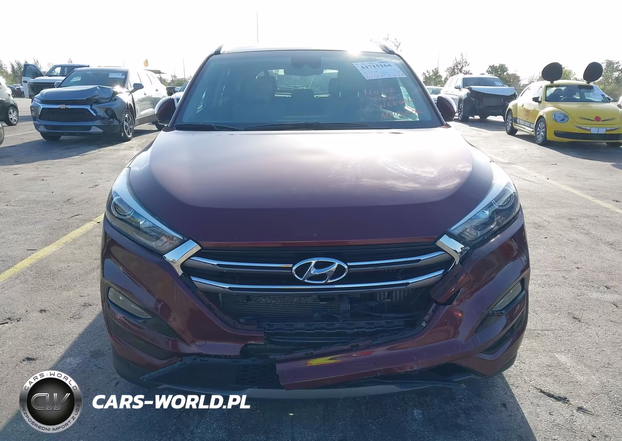 2016 Hyundai Tucson Limited VIN:KM8J33A29GU138566 - 6