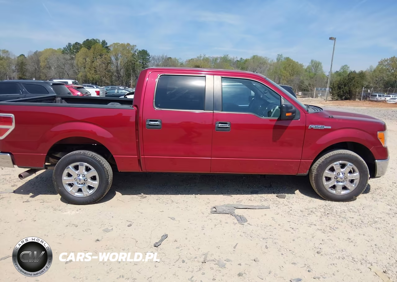 2013 Ford F-150 Xlt VIN:1FTFW1CF6DFD61881 - 13