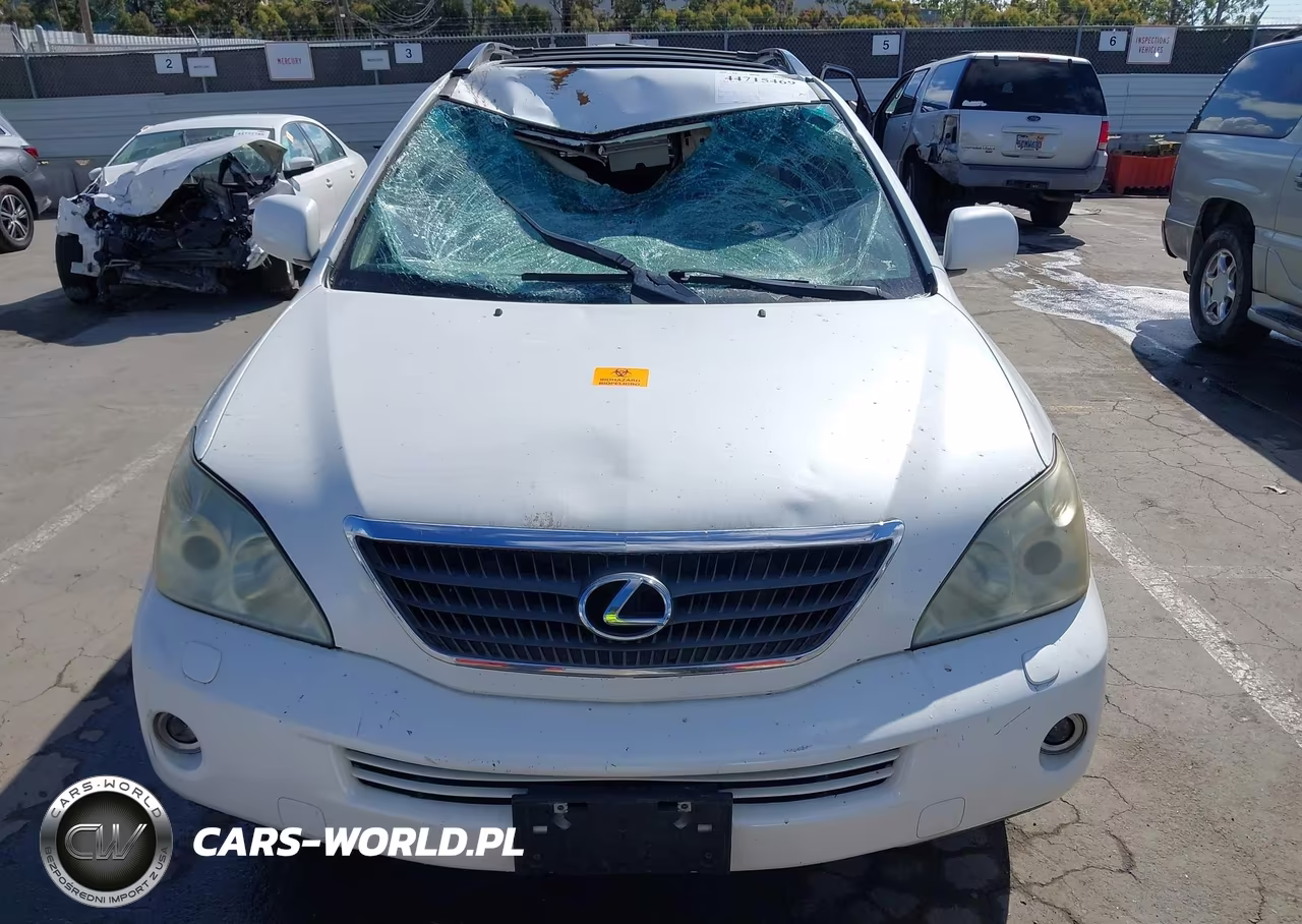 2006 Lexus Rx 400H VIN:JTJHW31U760042160 - 11