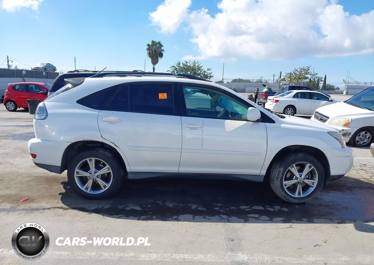 2006 Lexus Rx 400H VIN:JTJHW31U760042160 - 12