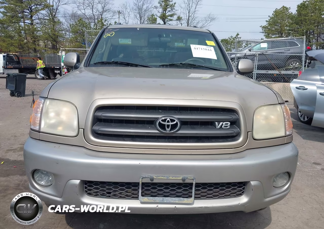 2002 Toyota Sequoia Sr5 V8 VIN:5TDBT44A12S132064 - 12