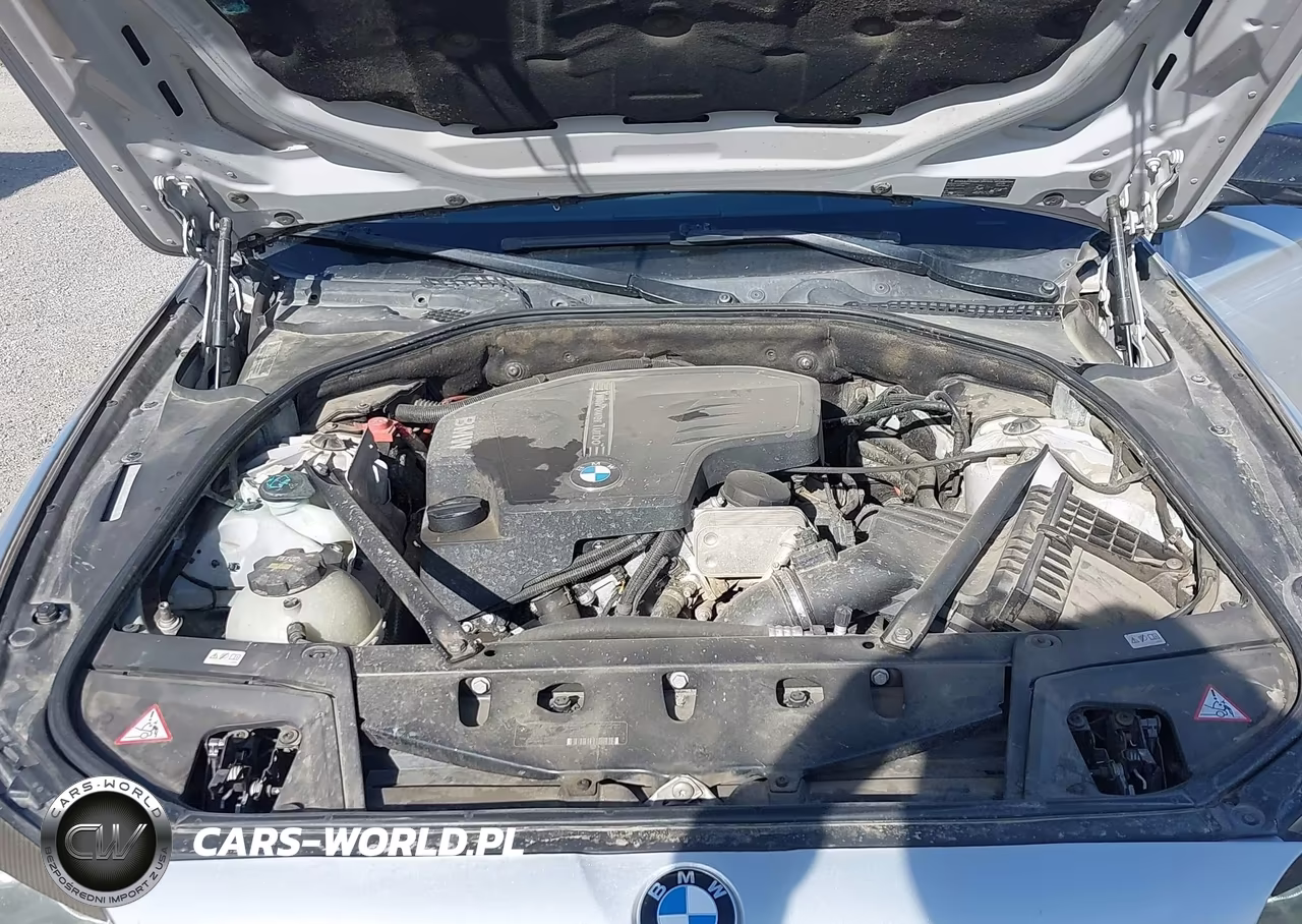 2013 BMW 528I xDrive VIN:WBAXH5C52DDW16841 - 10