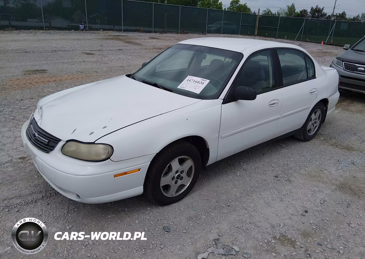 2005 Chevrolet Classic VIN:1G1ND52F85M143313 - 2