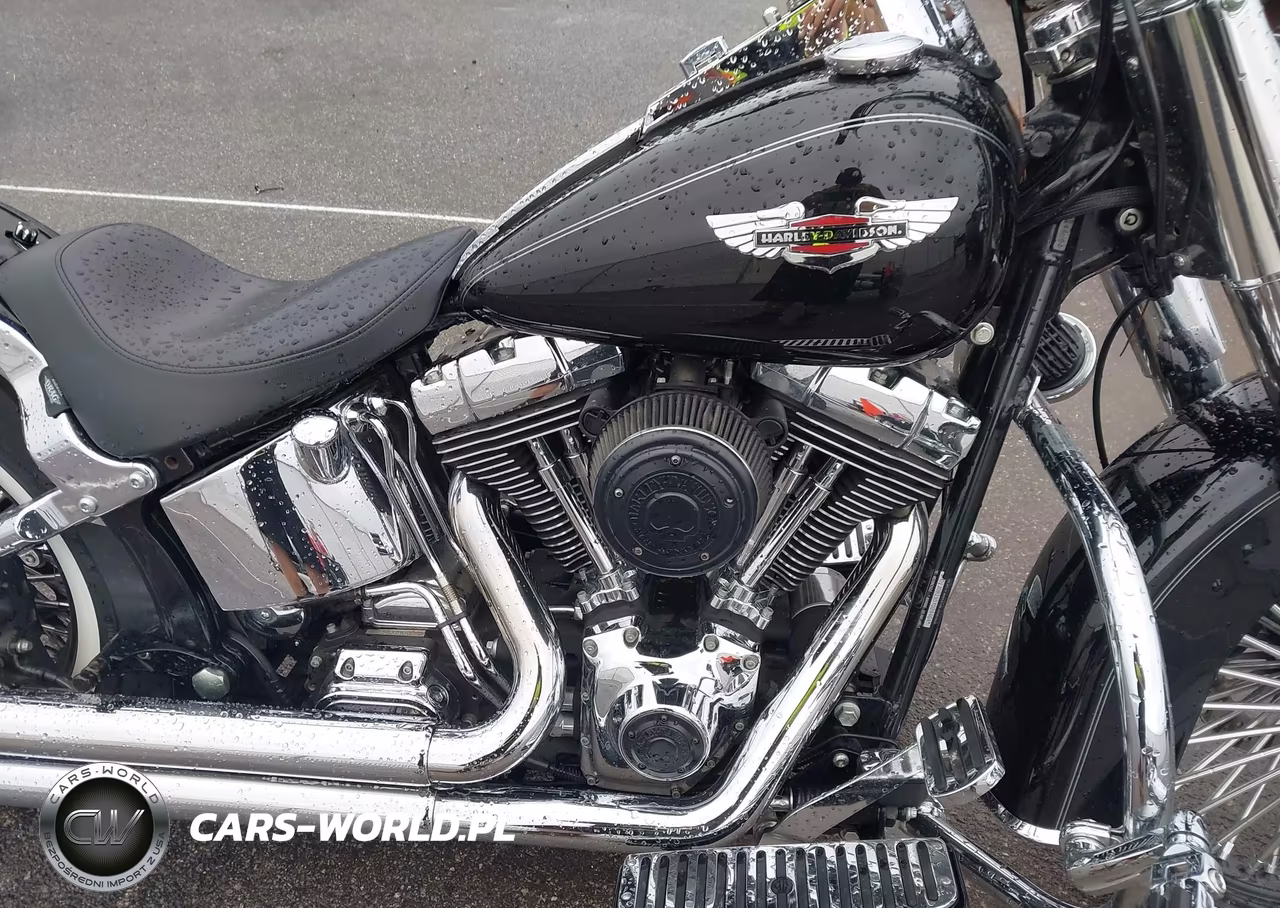 2005 Harley-Davidson Flstni VIN:1HD1JDB195Y024464 - 8