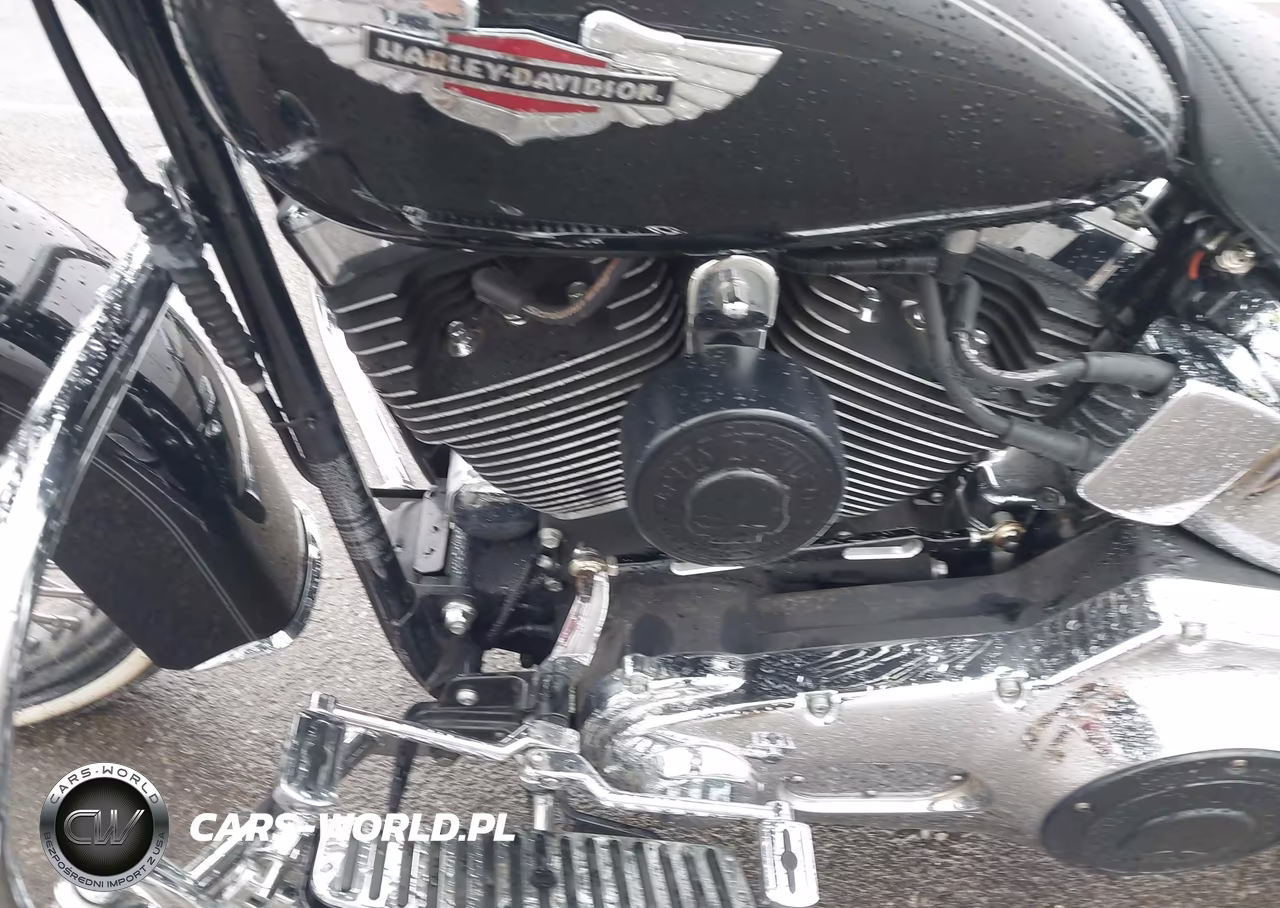 2005 Harley-Davidson Flstni VIN:1HD1JDB195Y024464 - 9