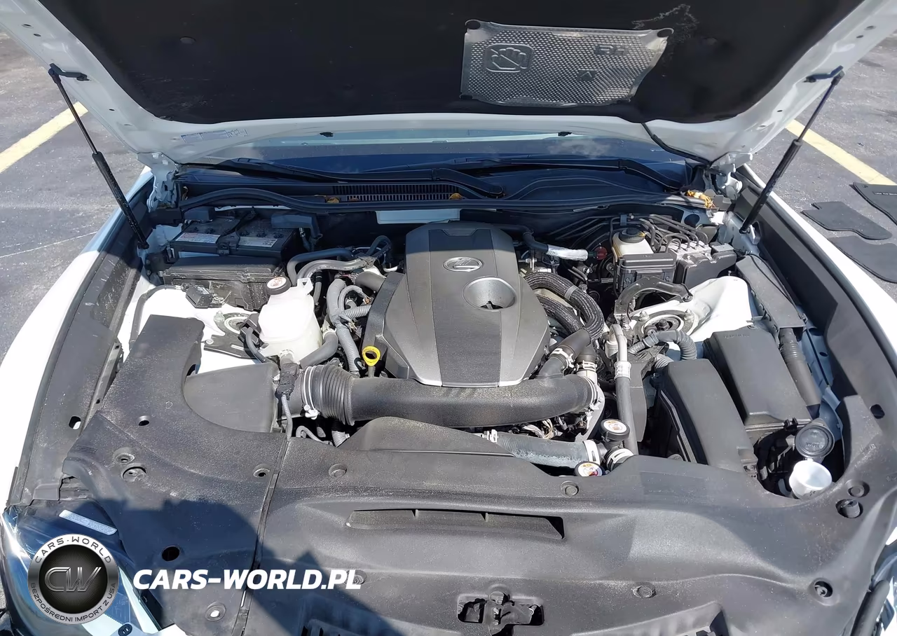 2022 Lexus Rc 300 VIN:JTHAA5BC7N5012256 - 10