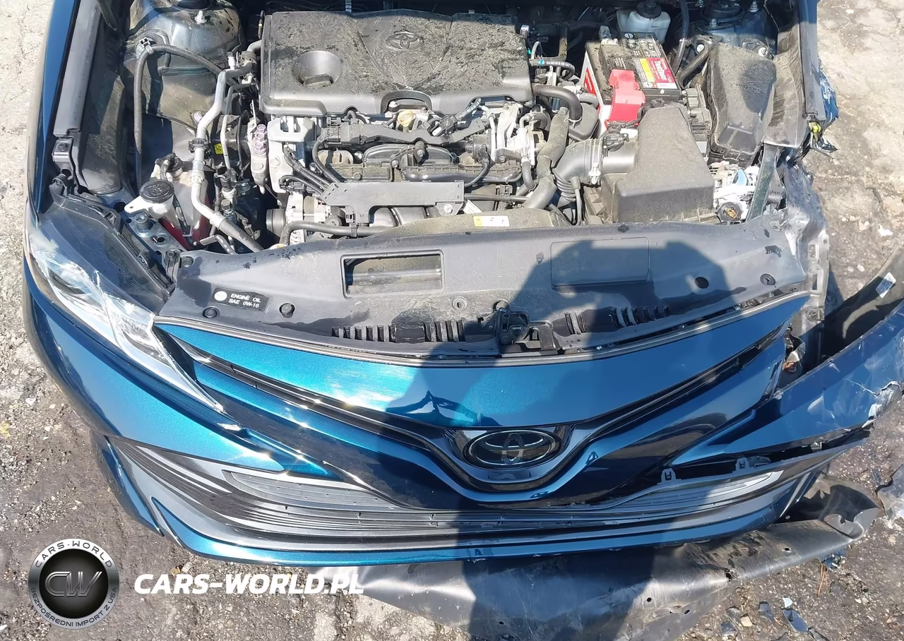 2019 Toyota Camry Le VIN:4T1B11HK2KU703737 - 10