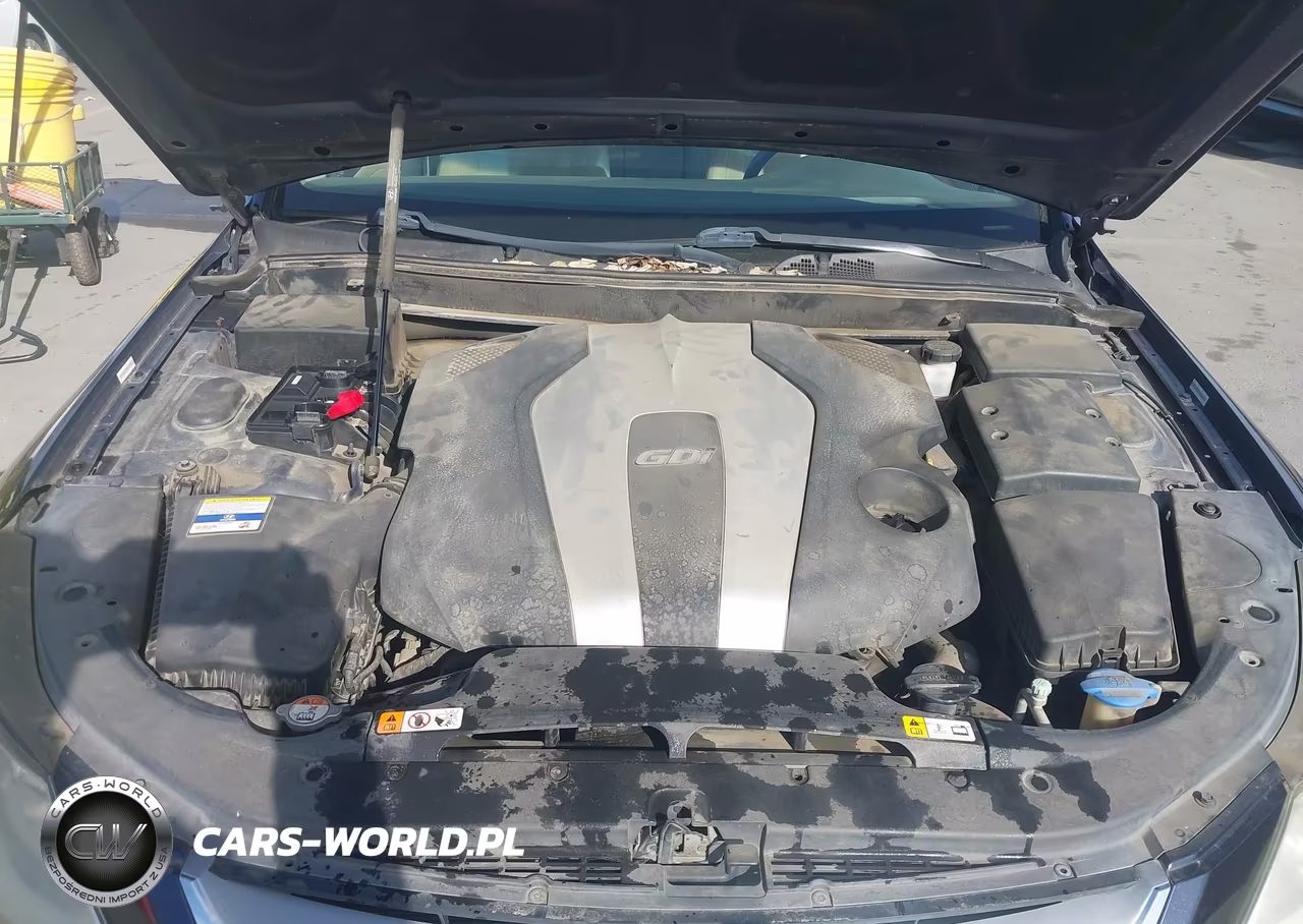 2012 Hyundai Genesis 3.8 VIN:KMHGC4DD9CU167184 - 10