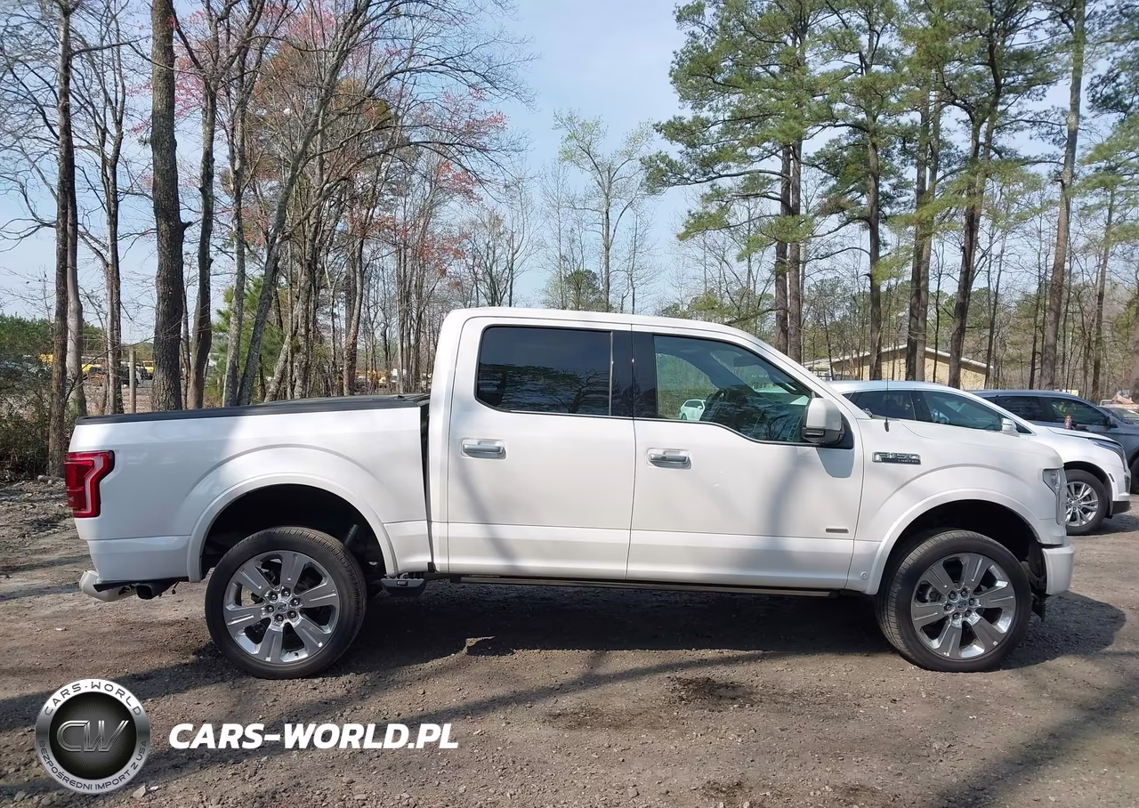 2017 Ford F-150 Limited VIN:1FTEW1EG9HFC50619 - 13