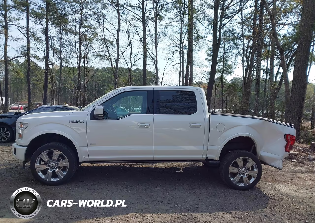 2017 Ford F-150 Limited VIN:1FTEW1EG9HFC50619 - 14