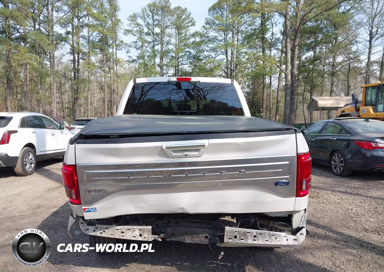 2017 Ford F-150 Limited VIN:1FTEW1EG9HFC50619 - 16