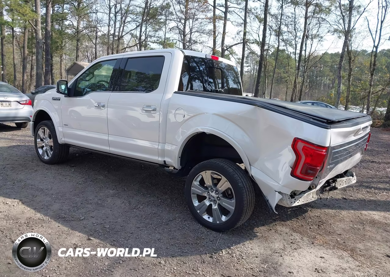 2017 Ford F-150 Limited VIN:1FTEW1EG9HFC50619 - 3