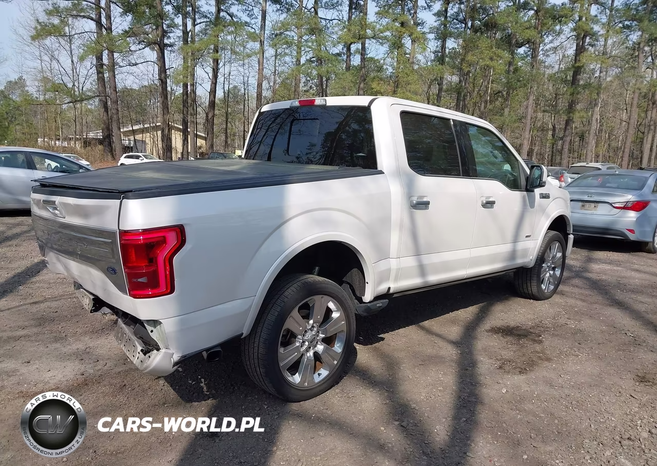 2017 Ford F-150 Limited VIN:1FTEW1EG9HFC50619 - 4