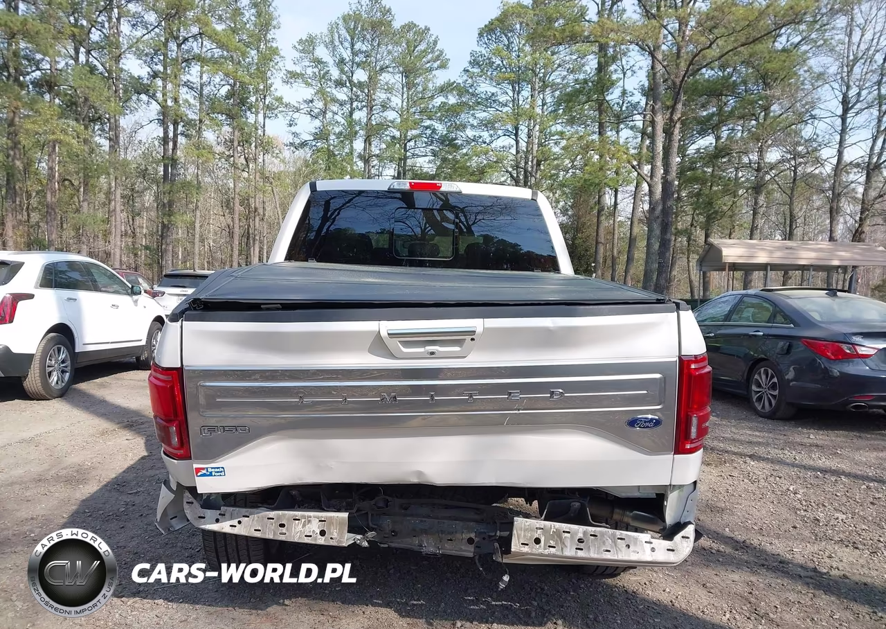 2017 Ford F-150 Limited VIN:1FTEW1EG9HFC50619 - 6