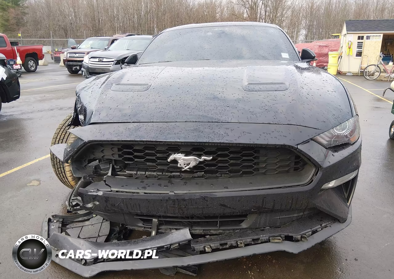 2021 Ford Mustang Ecoboost Premium Fastback VIN:1FA6P8TH1M5151921 - 13