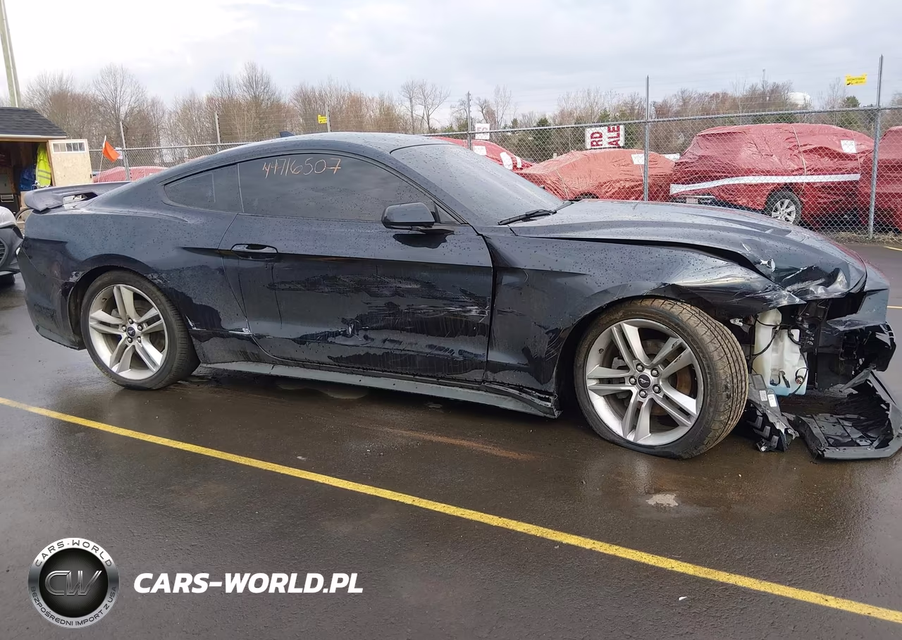 2021 Ford Mustang Ecoboost Premium Fastback VIN:1FA6P8TH1M5151921 - 14