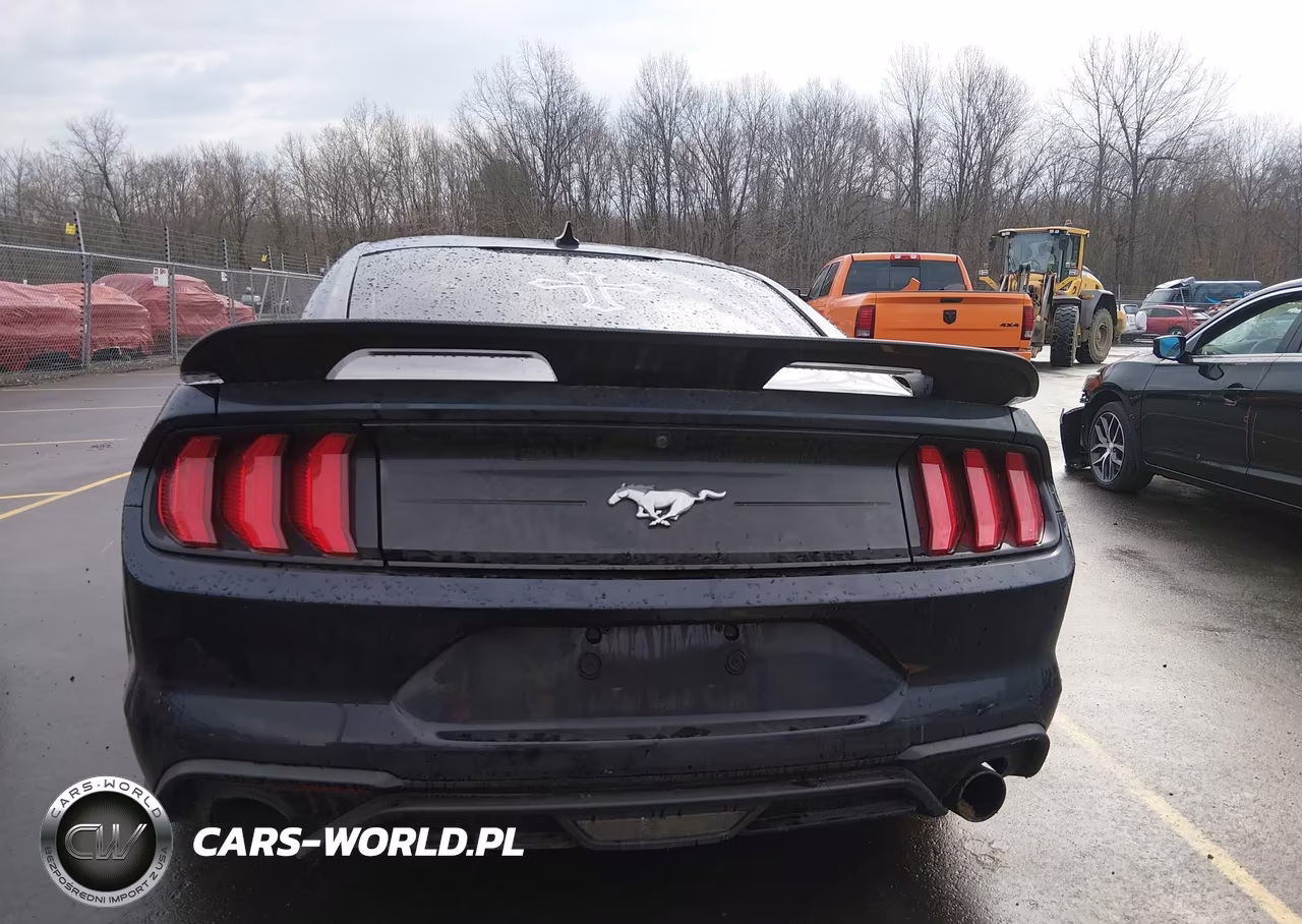 2021 Ford Mustang Ecoboost Premium Fastback VIN:1FA6P8TH1M5151921 - 17