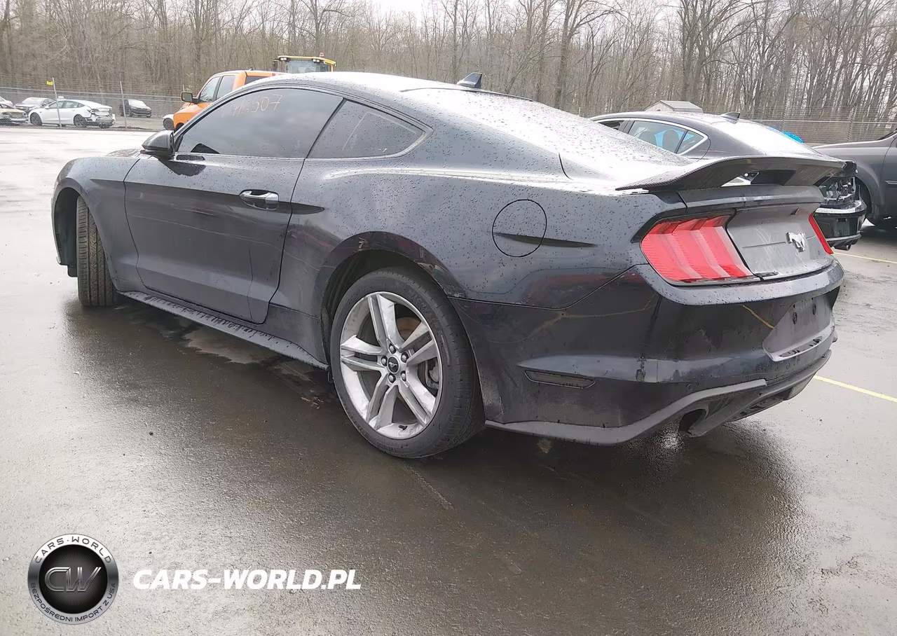 2021 Ford Mustang Ecoboost Premium Fastback VIN:1FA6P8TH1M5151921 - 3