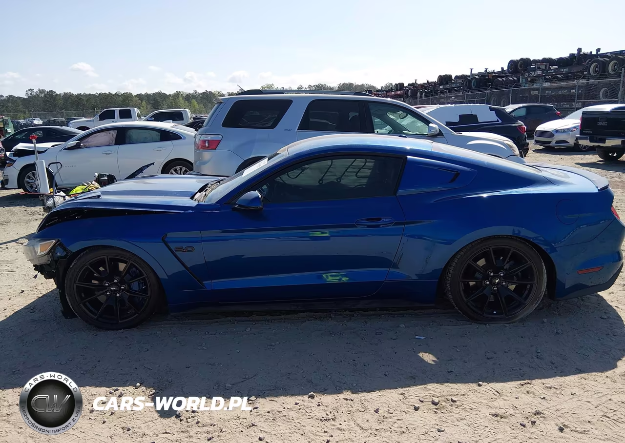 2017 Ford Mustang Gt Premium VIN:1FA6P8CF2H5207997 - 15