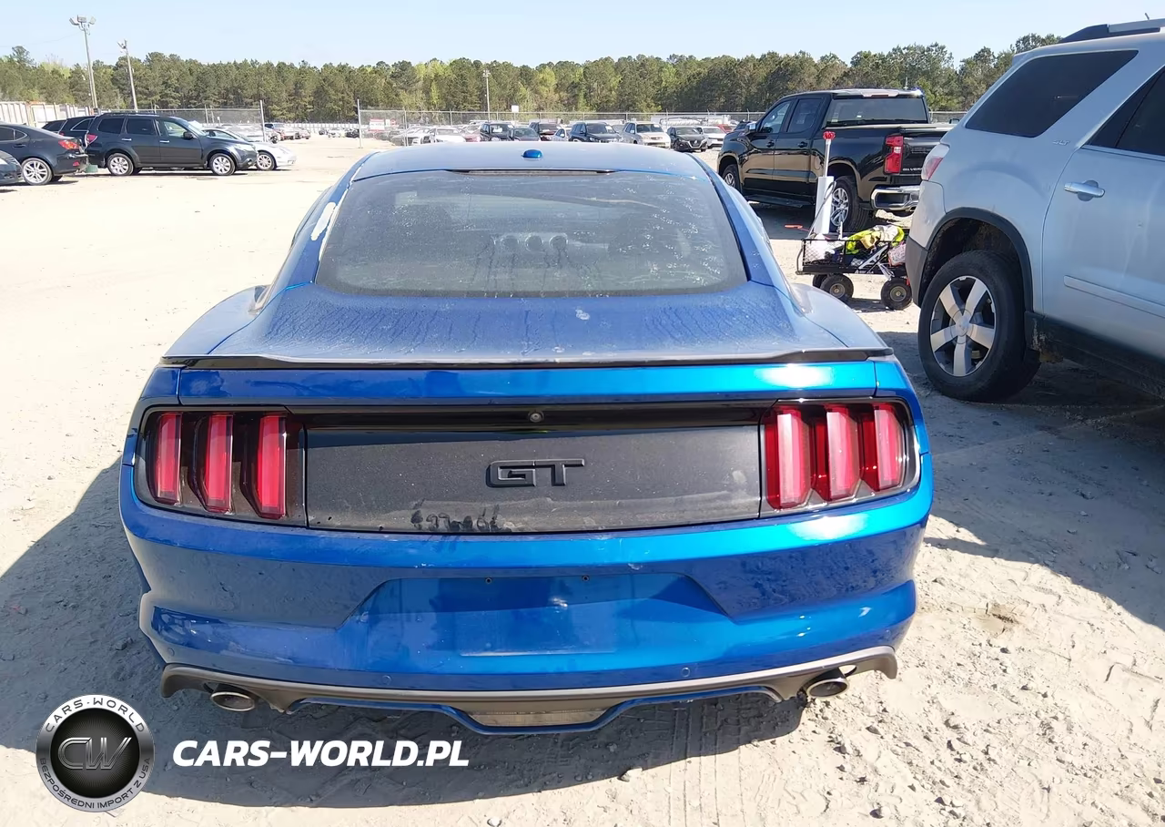 2017 Ford Mustang Gt Premium VIN:1FA6P8CF2H5207997 - 17