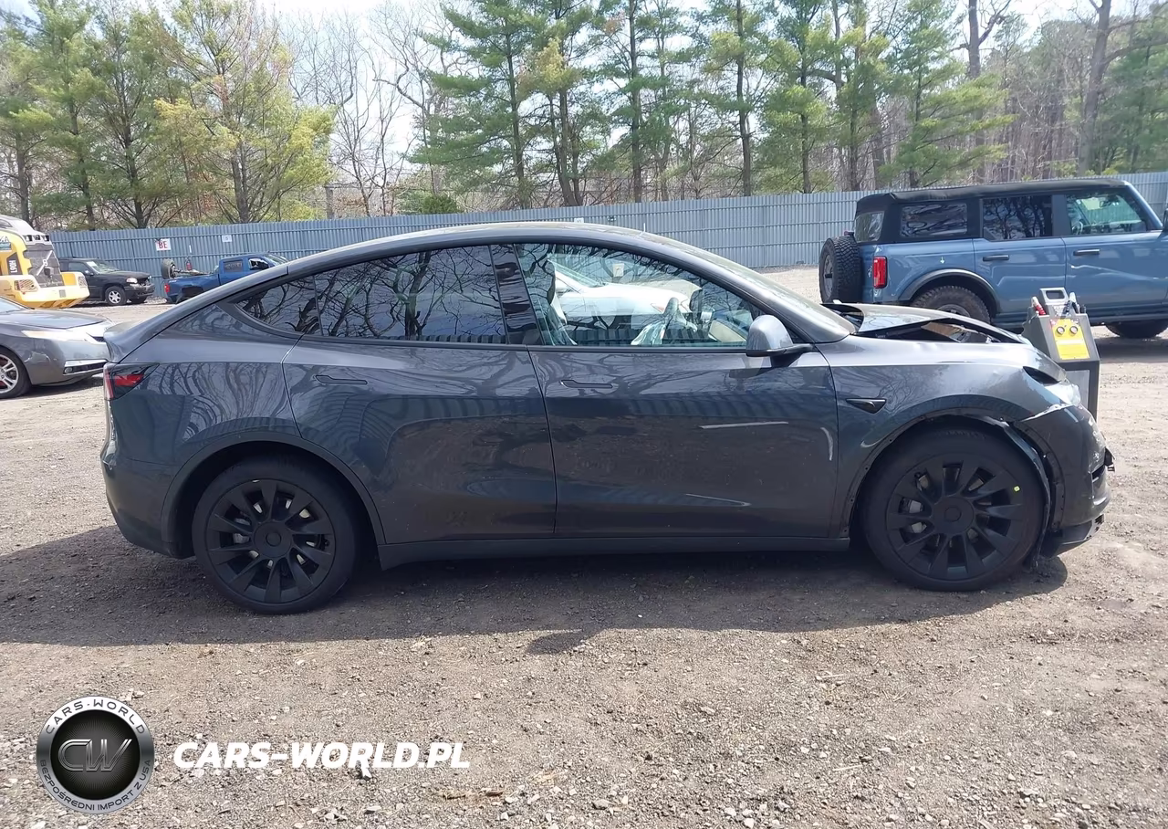 2025 Tesla Model Y Long Range Dual Motor All-Wheel Drive VIN:7SAYGDEE6SF308131 - 12