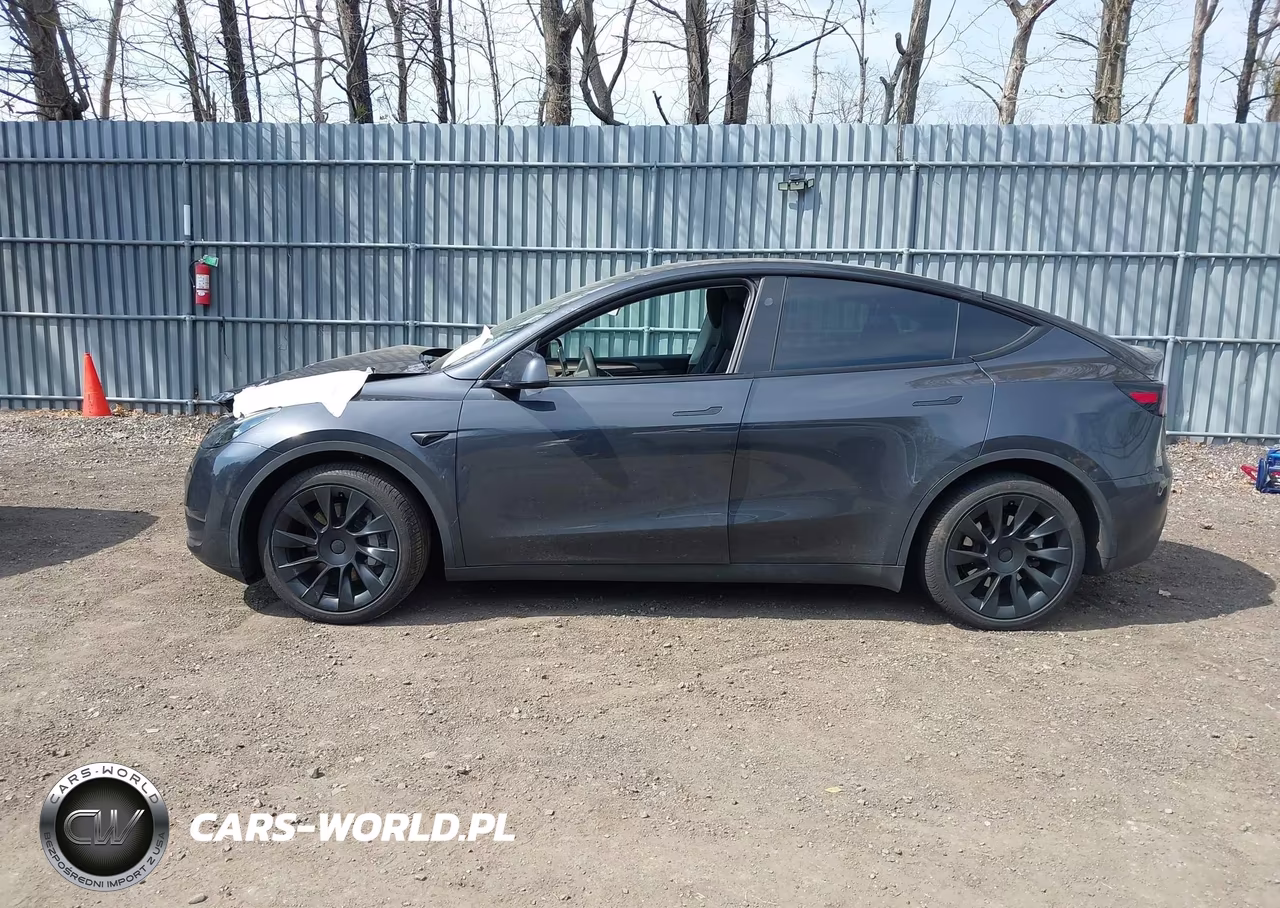 2025 Tesla Model Y Long Range Dual Motor All-Wheel Drive VIN:7SAYGDEE6SF308131 - 13