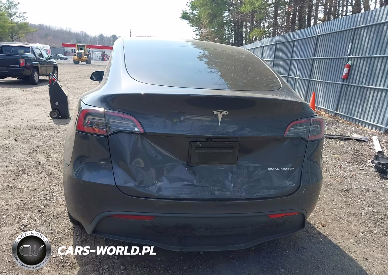 2025 Tesla Model Y Long Range Dual Motor All-Wheel Drive VIN:7SAYGDEE6SF308131 - 15
